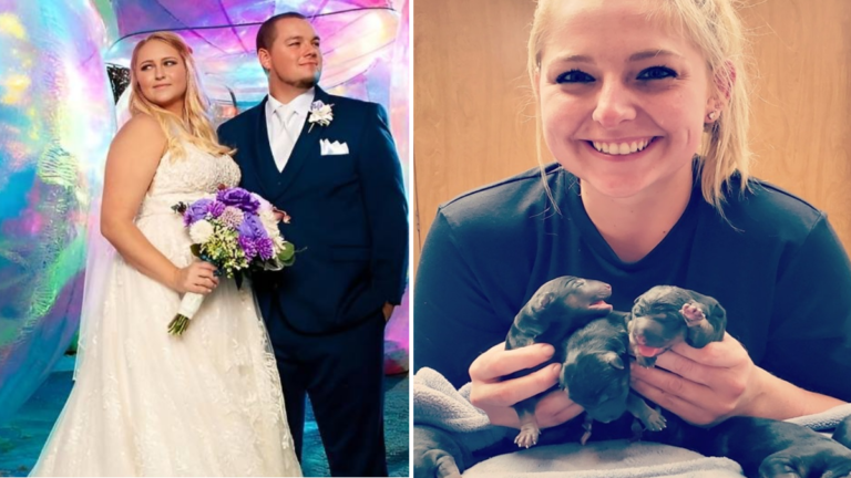 Nicole Arcy Wedding: Key Facts About Age, Husband